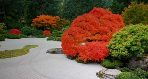 Como diseñar un jardín japonés