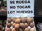 Elecciones anticipadas