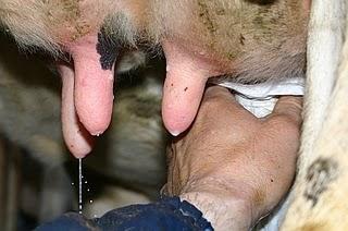 Menos del 40% de los bebes se alimenta de leche materna