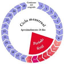 Calcular los días fértiles