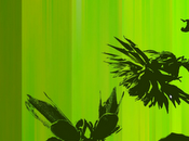 Fire disponible para descarga