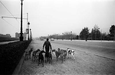XAVIER MISERACHS, EL TIEMPO EN BLANCO Y NEGRO.