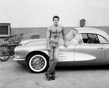 Beautiful Wonder Boys Retro: Van Williams (Parte I)