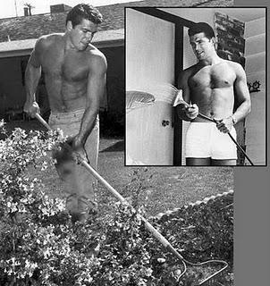 Beautiful Wonder Boys Retro: Van Williams (Parte I)