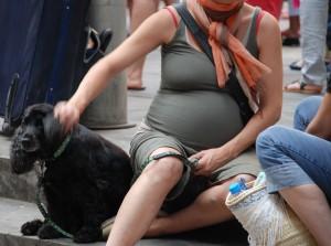 EL PERRO QUE COMPARTIÓ SU AMOR… EN SILENCIO