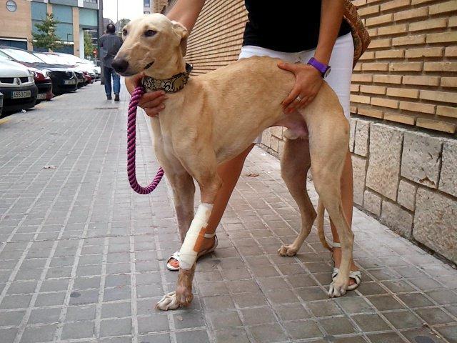 Novedades de Murdock