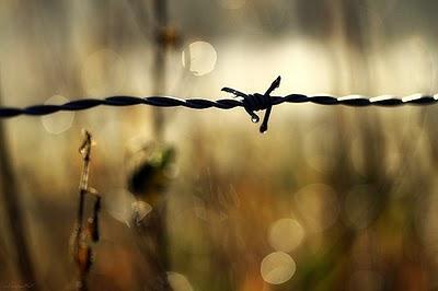 Once ladrones de mejoras y una anécdota interesante Once ladrones de mejoras y una anécdota interesante