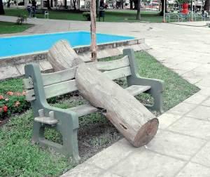 EL TRONCO DE LA VICTORIA POPULAR. LA OBRA, EMPLAZADA OTRA VEZ EN EL CENTRO DE LA CAPITAL CHAQUEÑA - Clarín.com