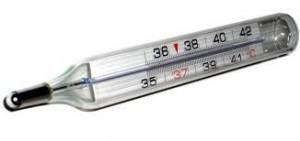 La fiebre de la madre