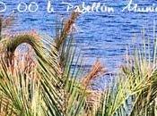 Xxvi open internacional fiestas pescador