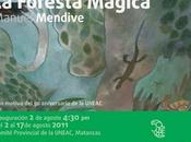 Matanzas Foresta Mágica, Manuel Mendive