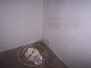 Serpientes de verano