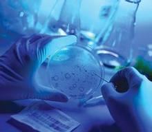 Un anticuerpo capaz de combatir todas las gripes