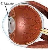 cataratasquees Acerca de las Cataratas