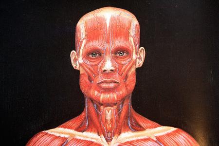 Reflexión visual #0999