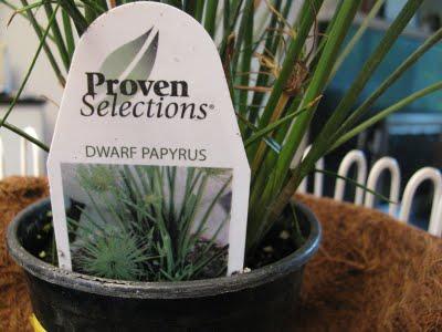 Ikea Hack: Frutero Tradig como macetero