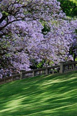 Ganadores del Concurso Mirando el Espacio Verde - Buenos Aires