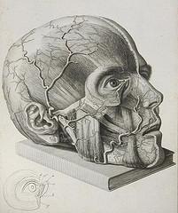 Mientras los demás duermen.