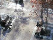 Ciudad, plazas, calles casas