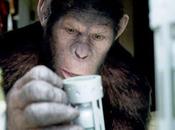 origen planeta simios': Prometedor reinicio saga