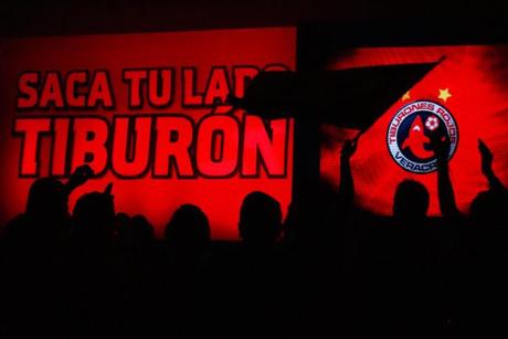 Saca tu lado tiburón