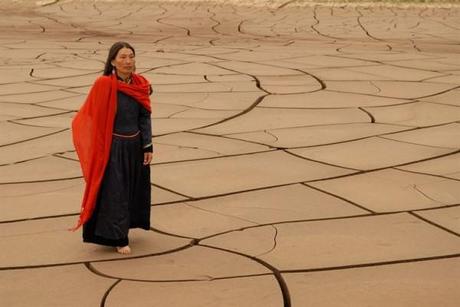 Los Dos Caballos de Genghis Khan, Mongolia 2009