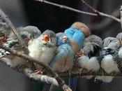 Vacaciones [piloto automático