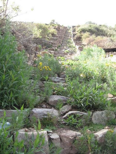 PUMAMARCA, ENIGMA DE PIEDRA