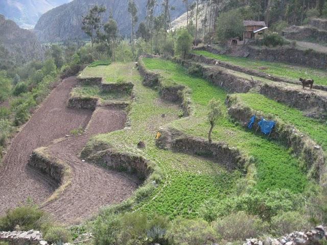 PUMAMARCA, ENIGMA DE PIEDRA