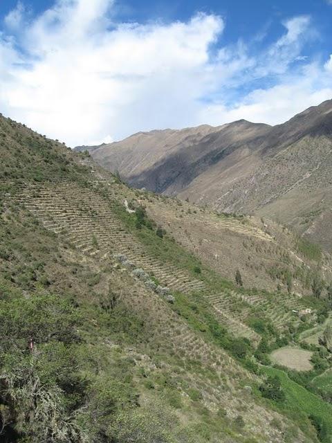 PUMAMARCA, ENIGMA DE PIEDRA