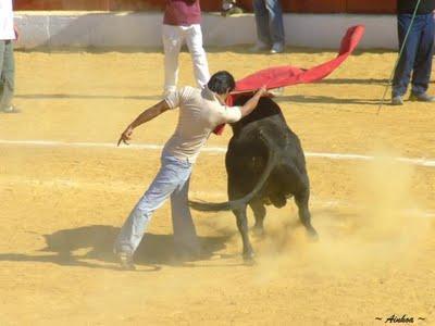 Torismo callejero