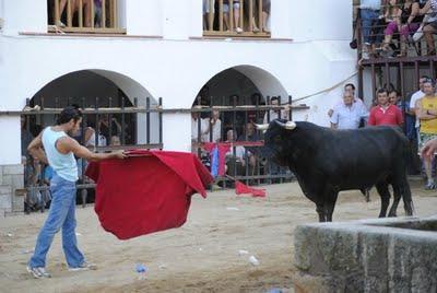 Torismo callejero