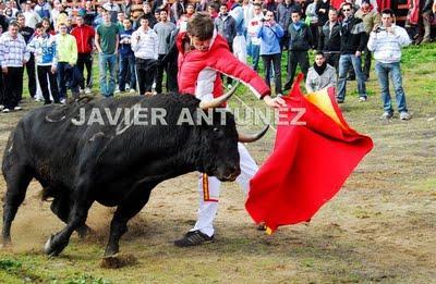 Torismo callejero