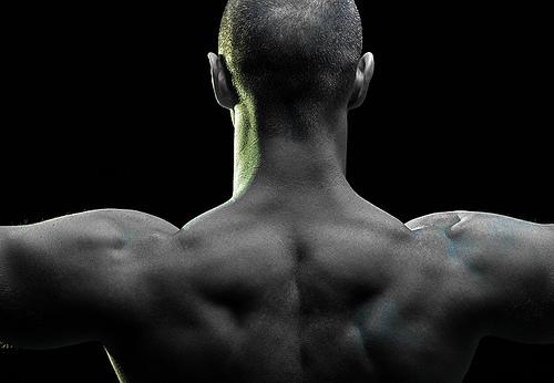 Fly #122 Reflexión Visual