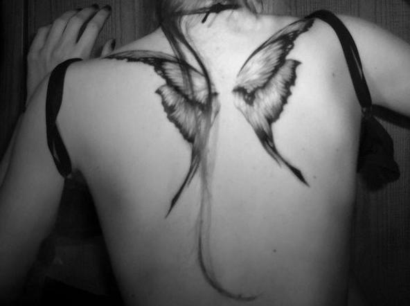 Fly #122 Reflexión Visual