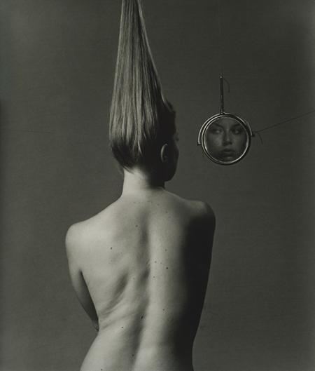 Fly #122 Reflexión Visual