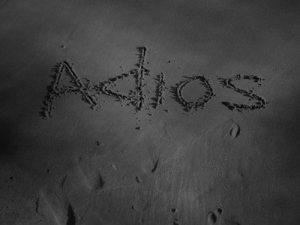 Fly #122 Reflexión Visual