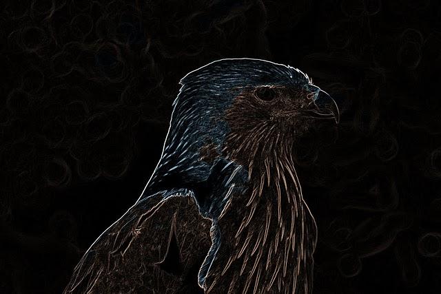 Fly #122 Reflexión Visual