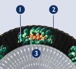 EL ABANICO MASCULINO. EL ABANICO MASCULINO.