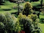 Pronto volverás vida…