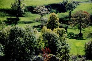 PRONTO VOLVERÁS A LA VIDA…