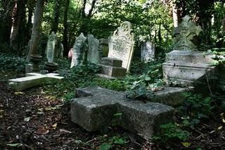 Retrum 2: La nieve negra, Francesc Miralles