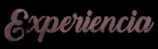 (Reseña) Everless by Sara Holland