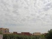 torrent Parellada Catalunya Plural