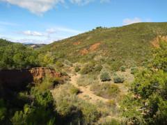 De cárcavas y olivos …