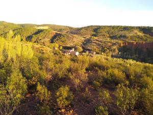 De cárcavas y olivos …