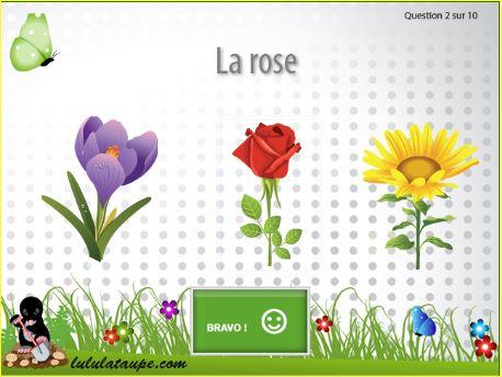 Lulu la taupe, juegos para niños de 2 a 10 años Lulu la taupe, juegos para niños de 2 a 10 años