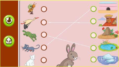 Lulu la taupe, juegos para niños de 2 a 10 años Lulu la taupe, juegos para niños de 2 a 10 años