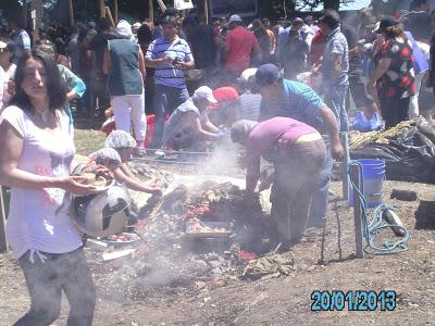 Recorriendo el Sur de Chile VIII