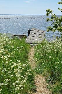 4.375 - ESTABAS SOLA...